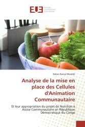 Analyse de la mise en place des Cellules d'Animation Communautaire