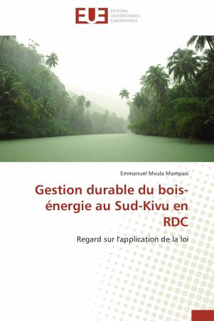 Gestion durable du bois-énergie au Sud-Kivu en RDC