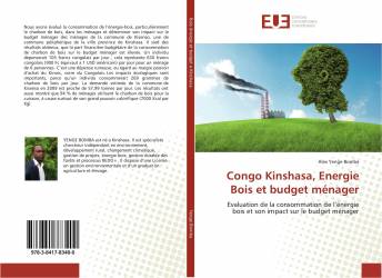 Congo Kinshasa, Energie Bois et budget ménager