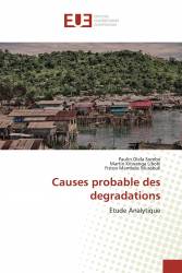 Causes probable des degradations