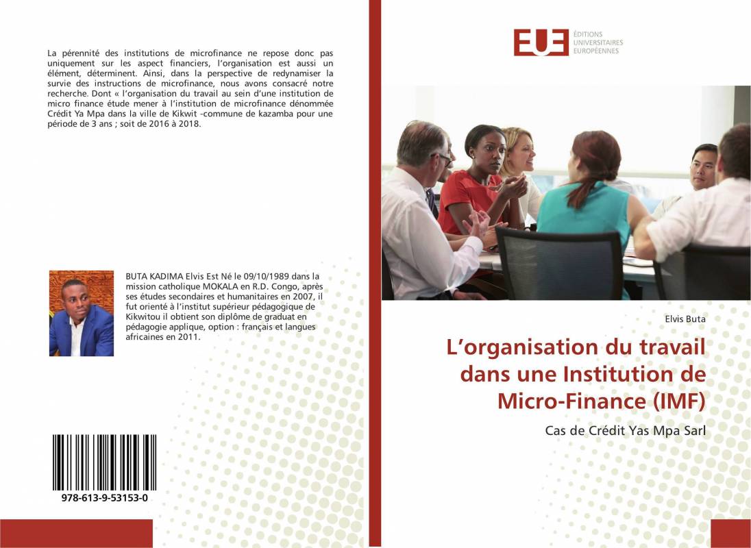 L’organisation du travail dans une Institution de Micro-Finance (IMF)