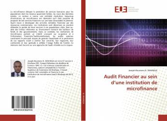 Audit Financier au sein d’une institution de microfinance