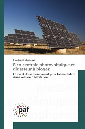 Pico-centrale photovoltaïque et digesteur à biogaz