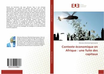 Contexte économique en Afrique : une fuite des capitaux