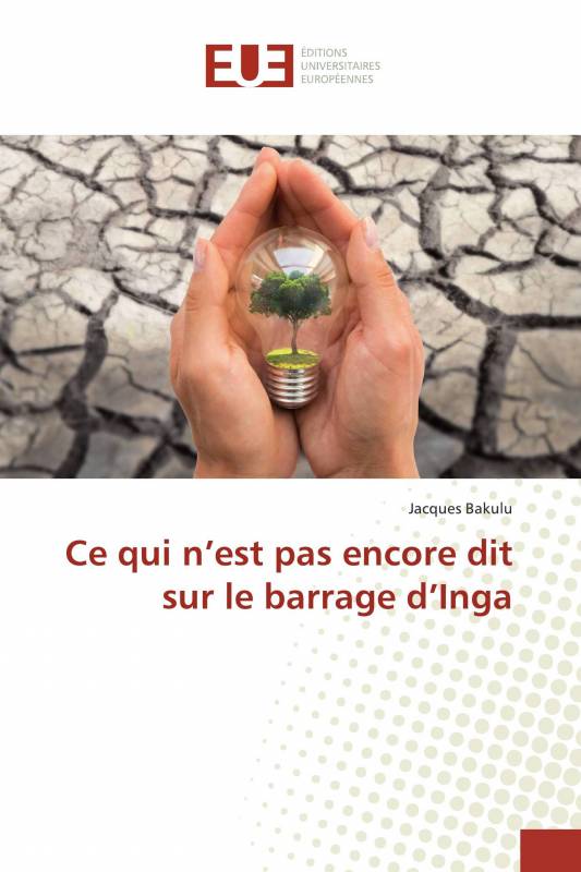 Ce qui n’est pas encore dit sur le barrage d’Inga