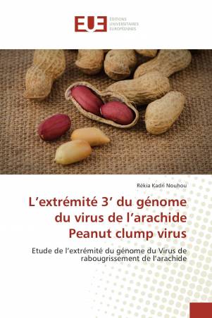 L’extrémité 3’ du génome du virus de l’arachide Peanut clump virus