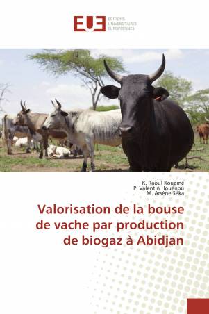 Valorisation de la bouse de vache par production de biogaz à Abidjan