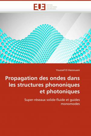 Propagation des ondes dans les structures phononiques et photoniques