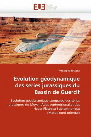 Evolution géodynamique des séries jurassiques du Bassin de Guercif