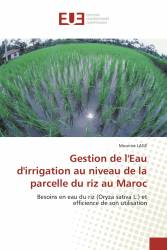 Gestion de l'Eau d'irrigation au niveau de la parcelle du riz au Maroc