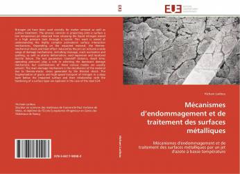 Mécanismes d’endommagement et de traitement des surfaces métalliques