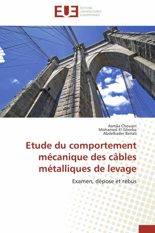Etude du comportement mécanique des câbles   métalliques de levage