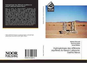 Hydrogéologie des différents aquifères du bassin Laâyoune-Dakhla Maroc