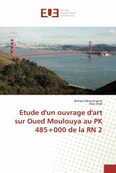 Etude d'un ouvrage d'art sur Oued Moulouya au PK 485+000 de la RN 2