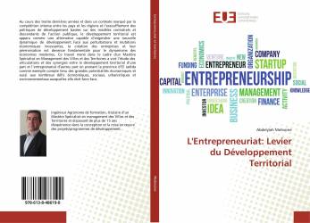 L'Entrepreneuriat: Levier du Développement Territorial