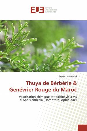 Thuya de Bérbérie &amp； Genévrier Rouge du Maroc