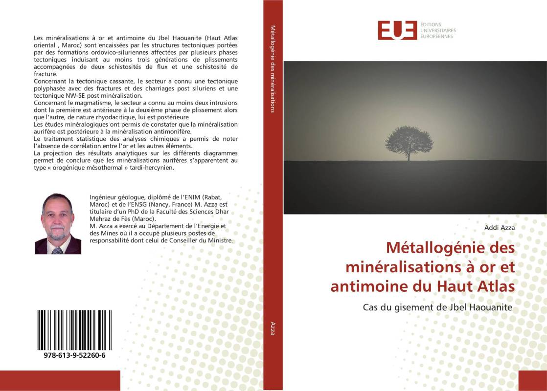 Métallogénie des minéralisations à or et antimoine du Haut Atlas