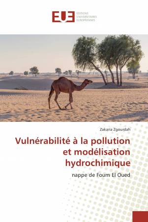 Vulnérabilité à la pollution et modélisation hydrochimique