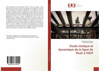 Etude statique et dynamique de la ligne de flush à l'OCP