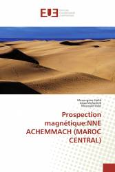 Prospection magnétique:NNE ACHEMMACH (MAROC CENTRAL)