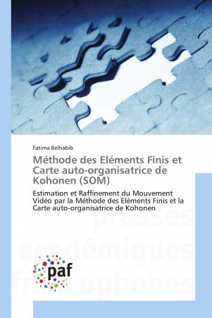 Méthode des Eléments Finis et Carte auto-organisatrice de Kohonen (SOM)