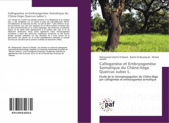 Callogenèse et Embryogenèse Somatique du Chêne-liège Quercus suber L.