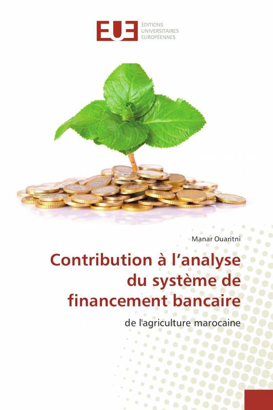Contribution à l’analyse du système de financement bancaire