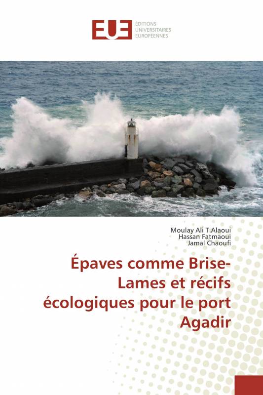 Épaves comme Brise-Lames et récifs écologiques pour le port Agadir
