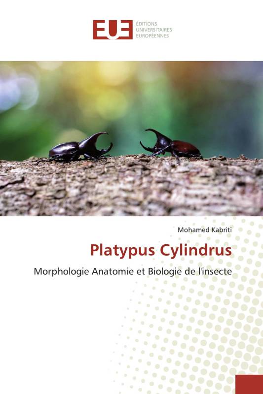 Platypus Cylindrus