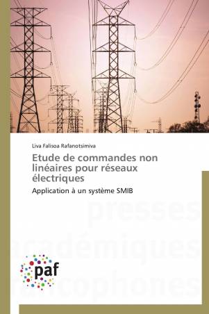 Etude de commandes non linéaires pour réseaux électriques