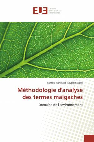 Méthodologie d'analyse des termes malgaches
