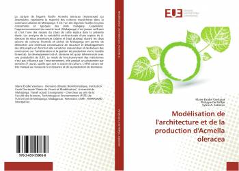 Modélisation de l'architecture et de la production d'Acmella oleracea