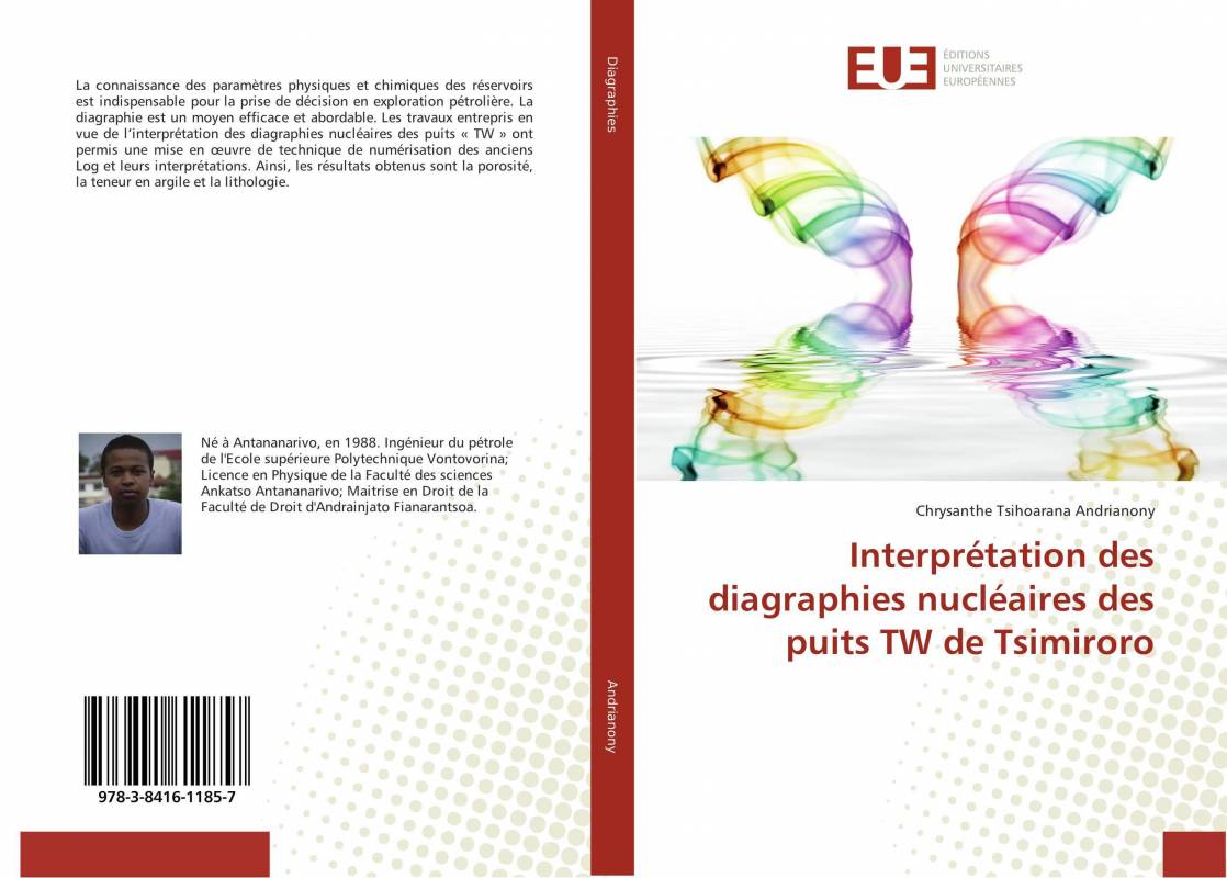 Interprétation des diagraphies nucléaires des puits TW de Tsimiroro