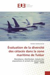 Évaluation de la diversité des cétacés dans la zone maritime de Tuléar