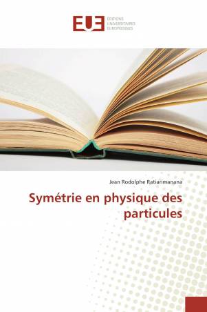 Symétrie en physique des particules