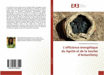 L’efficience énergétique du lignite et de la tourbe d’Antanifotsy