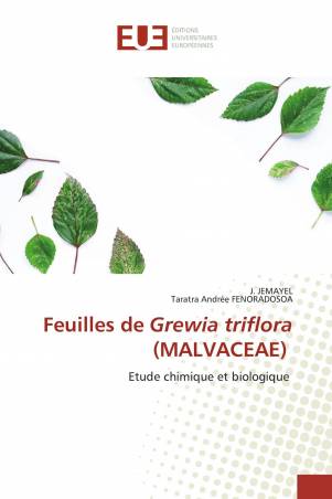 Feuilles de Grewia triflora (MALVACEAE)