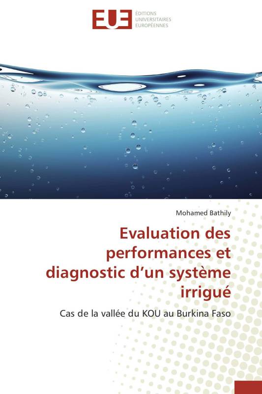 Evaluation des performances et diagnostic d’un système irrigué