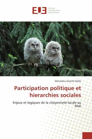 Participation politique et hierarchies sociales