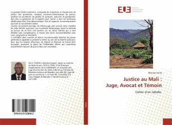 Justice au Mali : Juge, Avocat et Témoin