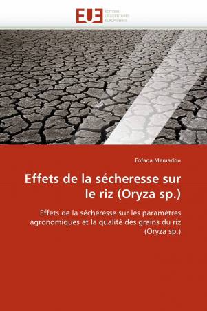 Effets de la sécheresse sur le riz (Oryza sp.)