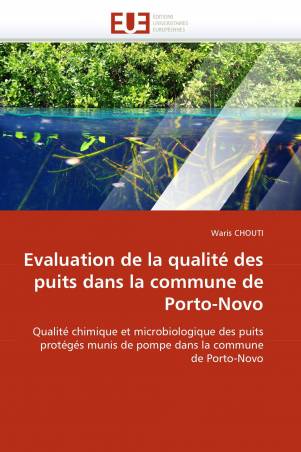 Evaluation de la qualité des puits dans la commune de Porto-Novo