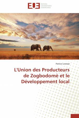 L'Union des Producteurs de Zogbodomè et le Développement local