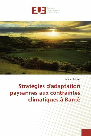 Stratégies d'adaptation paysannes aux contraintes climatiques à Bantè