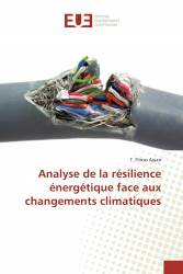 Analyse de la résilience énergétique face aux changements climatiques