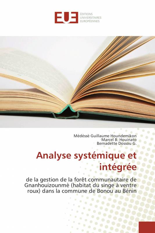 Analyse systémique et intégrée