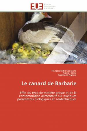Le canard de Barbarie