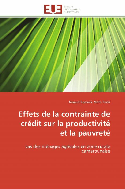 Effets de la contrainte de crédit sur la productivité et la pauvreté