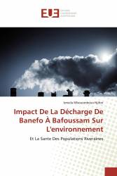 Impact De La Décharge De Banefo À Bafoussam Sur L'environnement