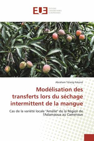 Modélisation des transferts lors du séchage intermittent de la mangue